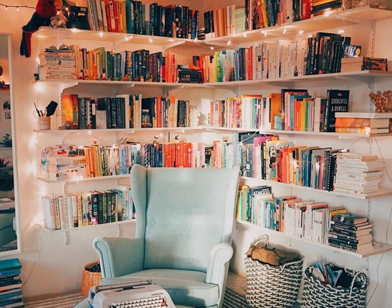 Quirky Book Shelves