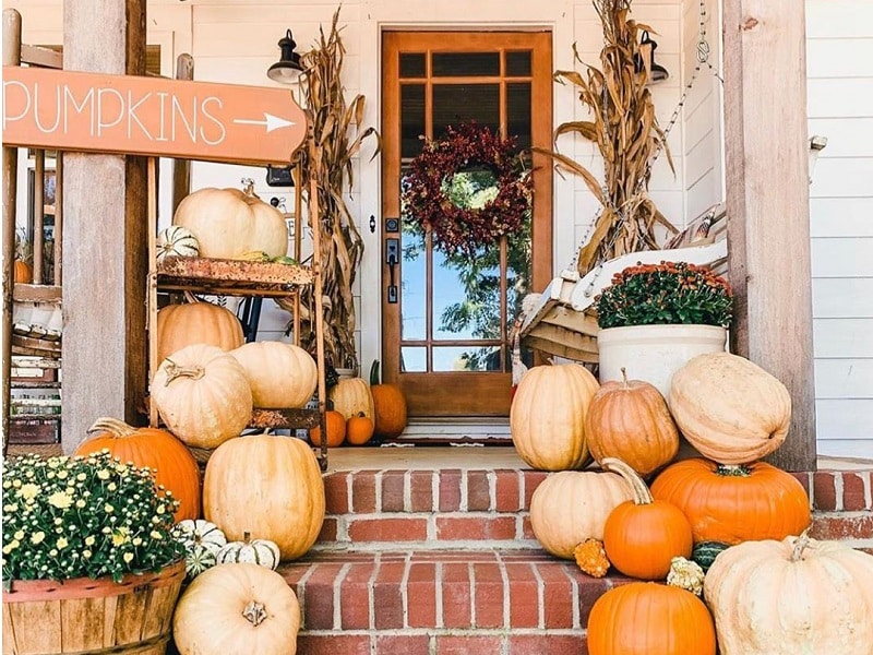 Cozy & Aesthetic Fall Time Decor Tips For Home
