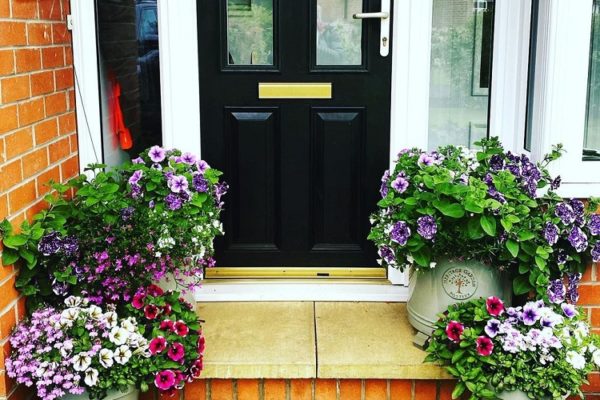 Front door plant ideas to make your entrance look beautiful